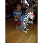 Image 5 of customer photos