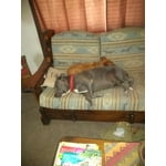 Image 6 of customer photos