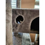 Image 4 of customer photos