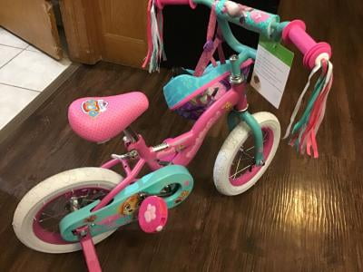 paw patrol skye bike