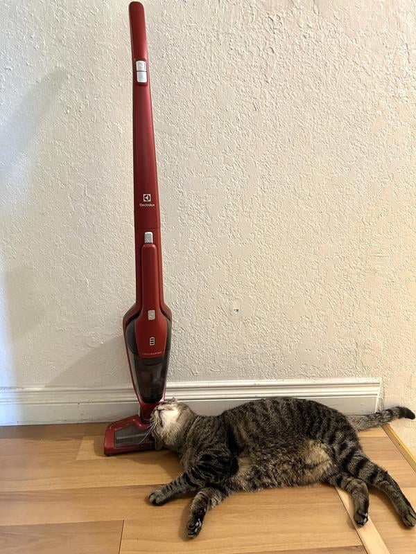 Electrolux Ergorapido Stick, Lightweight Cordless Vacuum with LED