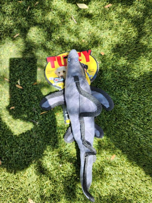mydogtoy shark
