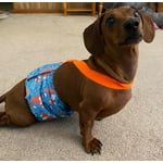 Image 3 of customer photos