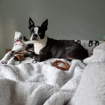 Image 4 of customer photos