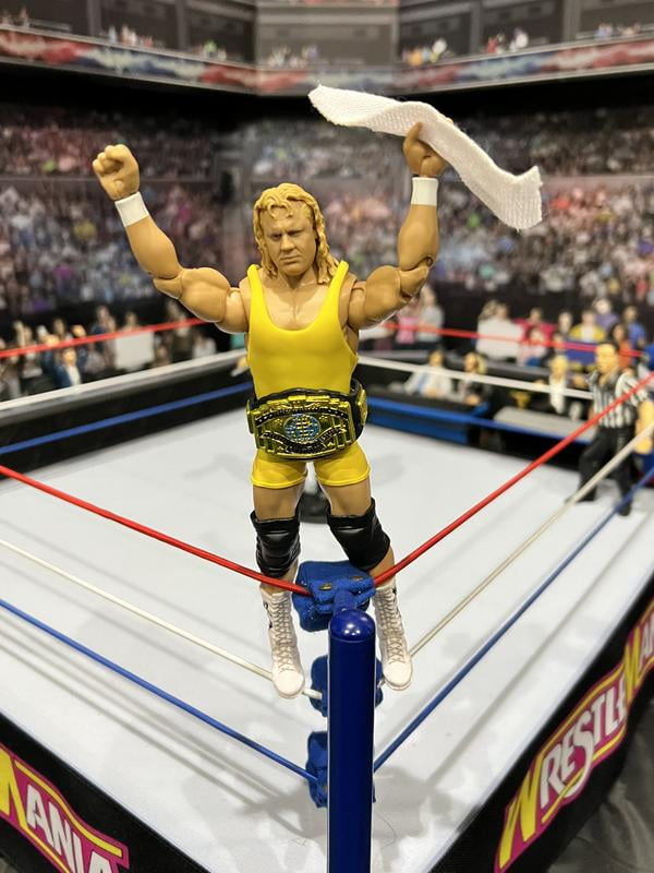 WWE Toy - Legends Series 20 Mr. Perfect Elite Collection