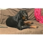 Image 6 of customer photos