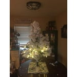 Image 7 of customer photos