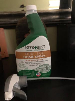 Vet S Best Flea And Tick Home Spray Flea Treatment For Dogs And Home Flea Killer With Certified Natural Oils 32 Ounces Walmart Com Walmart Com