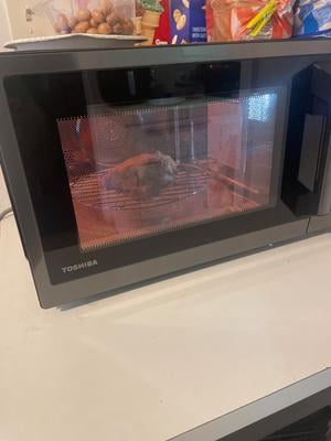 Toshiba 7-in-1 Countertop Microwave Air Fryer Combo, 1.0 cu.ft