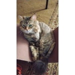 Image 2 of customer photos