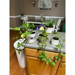 Image 3 of customer photos