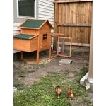 Image 3 of customer photos