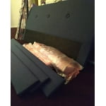 Image 1 of customer photos