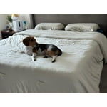 Image 3 of customer photos