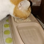 Image 7 of customer photos