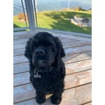 Image 3 of customer photos