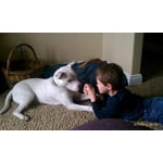 Image 3 of customer photos