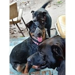 Image 3 of customer photos