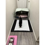 Image 2 of customer photos