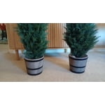 Image 6 of customer photos