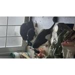 Image 2 of customer photos