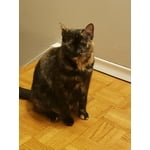 Image 5 of customer photos