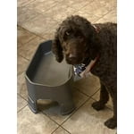 Image 2 of customer photos