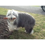 Image 2 of customer photos