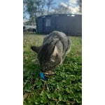 Image 6 of customer photos