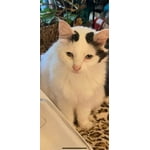 Image 2 of customer photos