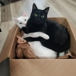 Image 2 of customer photos