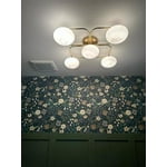 Image 1 of customer photos