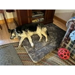 Image 1 of customer photos