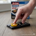 Image 7 of customer photos