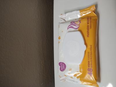 walmart parent's choice flushable wipes