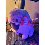 Image 6 of customer photos