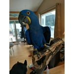 Image 2 of customer photos