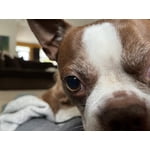 Image 7 of customer photos