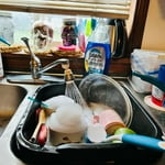 Image 7 of customer photos