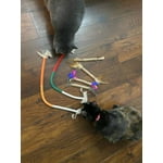 Image 2 of customer photos