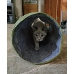 Image 6 of customer photos