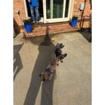 Image 1 of customer photos