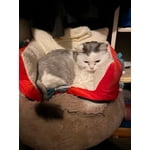 Image 1 of customer photos