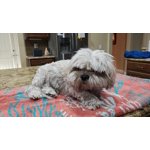 Image 5 of customer photos