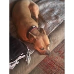 Image 7 of customer photos