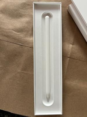Free Shipping! Apple Pencil Pro for iPad, Pixel-Perfect Precision