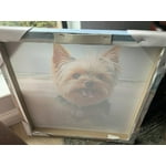 Image 6 of customer photos