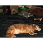 Image 5 of customer photos