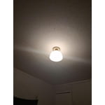 Image 4 of customer photos