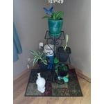 Image 3 of customer photos